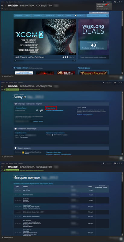 Можно ли посмотреть когда была куплена игра не на своём аккаунте в steam