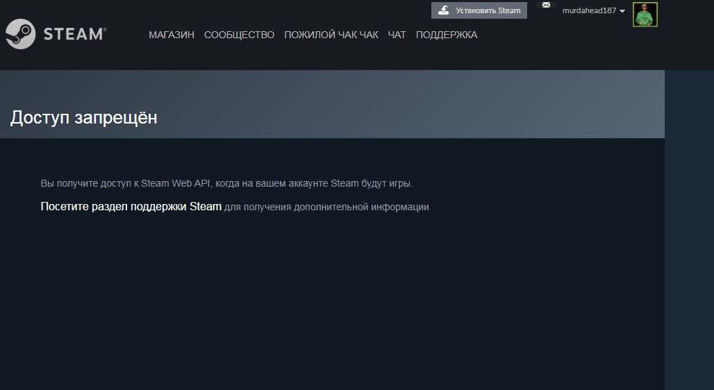 Что делать, если не получается узнать свой API KEY в steam