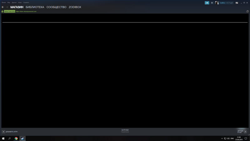 Залагала страница магазина стим, перезапускал клиент не помогло