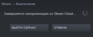 Подготовка к запуску игры STEAM - 1