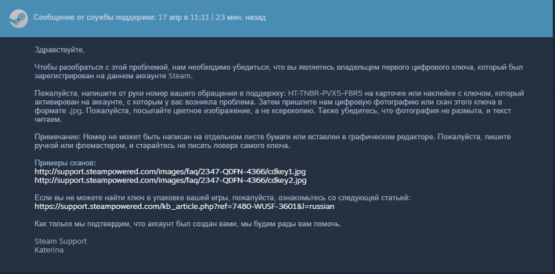 Стим саппорт попросил фото ключа